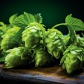 Hops and Their Flavors: A Comprehensive Guide to Home Brewing Ingredients