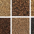 Types of Grains and Malts for Home Brewing