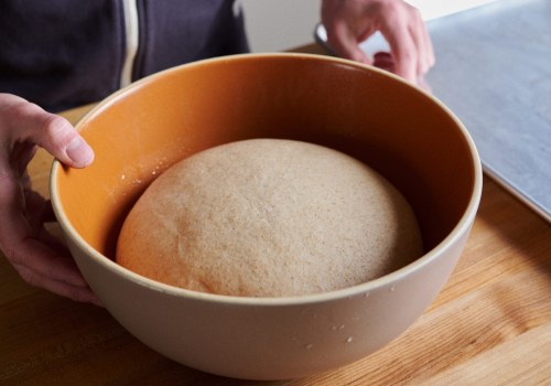 A Beginner's Guide to Understanding Yeast and Fermentation