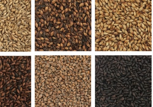 Types of Grains and Malts for Home Brewing